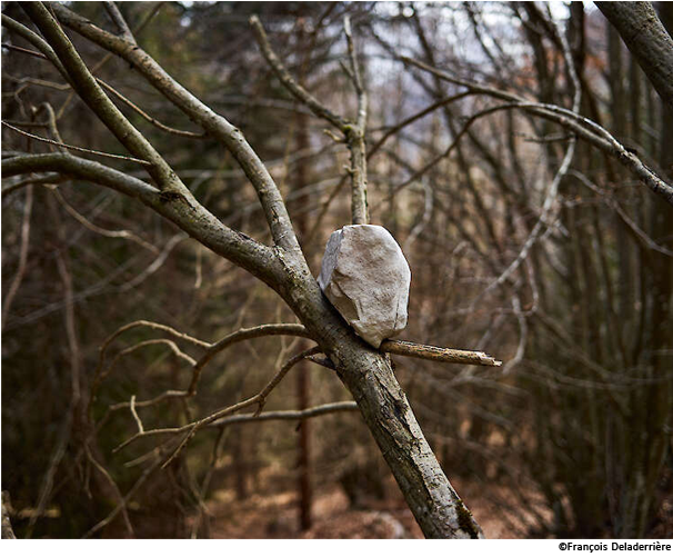 ©François Deladerrière